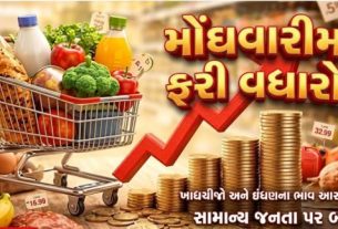 ભારતમાં મે 2026 દરમિયાન છૂટક ફુગાવા (Inflation)નો દર વધીને 3.93 ટકા પર પહોંચી ગયો છે