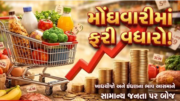 ભારતમાં મે 2026 દરમિયાન છૂટક ફુગાવા (Inflation)નો દર વધીને 3.93 ટકા પર પહોંચી ગયો છે