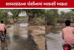 Sabarkantha Poshina Rain Updates