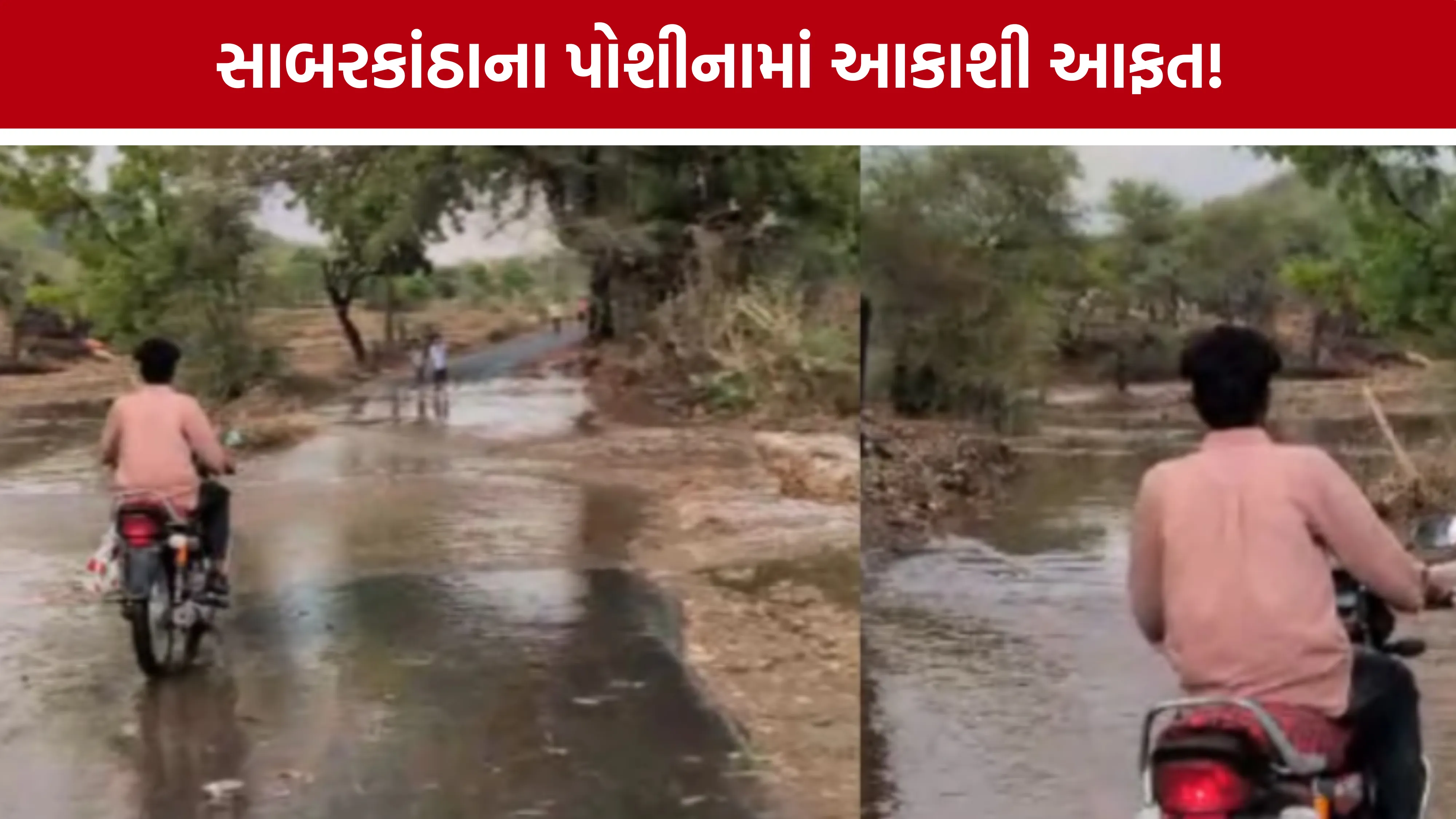 Sabarkantha Poshina Rain Updates