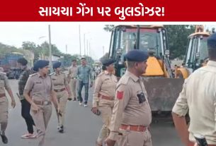 જામનગરમાં saicha gang પર તંત્રનો બુલડોઝર, 16 કરોડની જમીન કરાઈ મુક્ત