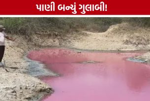 Chemical Dumping Case:પાણીનો રંગ ગુલાબી બનતાં ગ્રામજનોએ ઉઠાવ્યા સવાલ