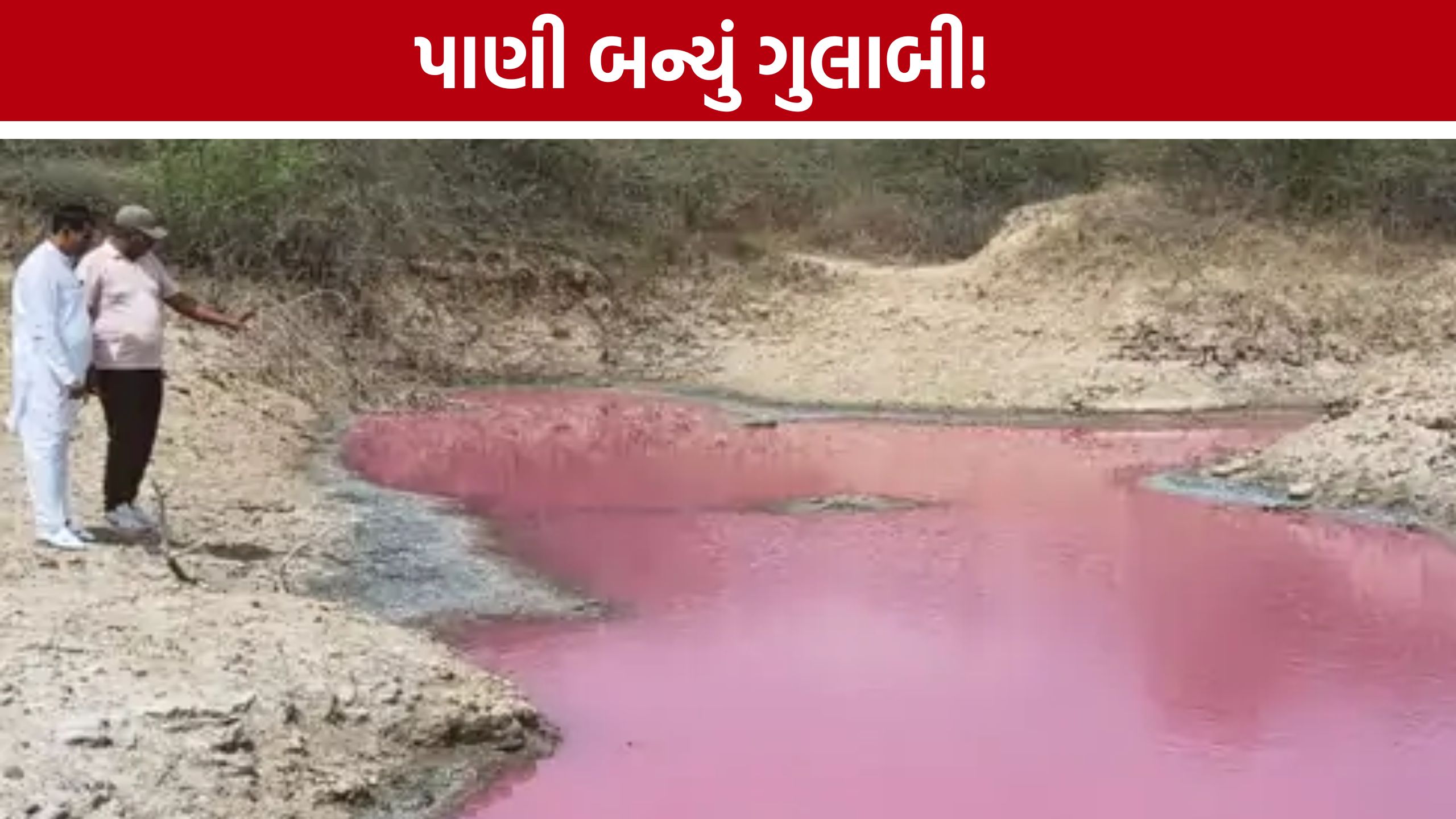 Chemical Dumping Case:પાણીનો રંગ ગુલાબી બનતાં ગ્રામજનોએ ઉઠાવ્યા સવાલ