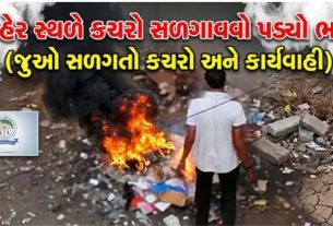 વેરાવળ (Veraval) શહેરના મુખ્ય બજાર વિસ્તારમાં જાહેર સ્થળે કચરો સળગાવવાની (Garbage Burning)ઘટના સામે આવતા નગરપાલિકા તંત્રએ તાત્કાલિક કાર્યવાહી કરી છે