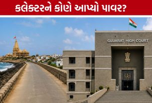 Somnath Road Closure:‘શું હજુ રાજાશાહીમાં જીવો છો?’ હાઈકોર્ટના કલેક્ટરને આકરા સવાલ