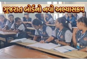 નવા વિષય માળખા અનુસાર વિદ્યાર્થીઓ પરનો વિષયભાર ઘટાડવામાં આવ્યો છે અને અભ્યાસને વધુ વ્યવહારુ તેમજ સર્વાંગી વિકાસલક્ષી બનાવવાનો પ્રયાસ કરવામાં આવ્યો છે. જેમાં અભ્યાક્રમમાં હવે ફક્ત 8 ફરજિયાત વિષયો (compulsory subjects )રહેશે.