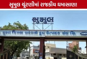 Sumul Dairy Election: તુષાર ચૌધરીનો દાવો: જરૂર પડશે તો ઉમેદવારોને વિદેશ પણ મોકલીશું