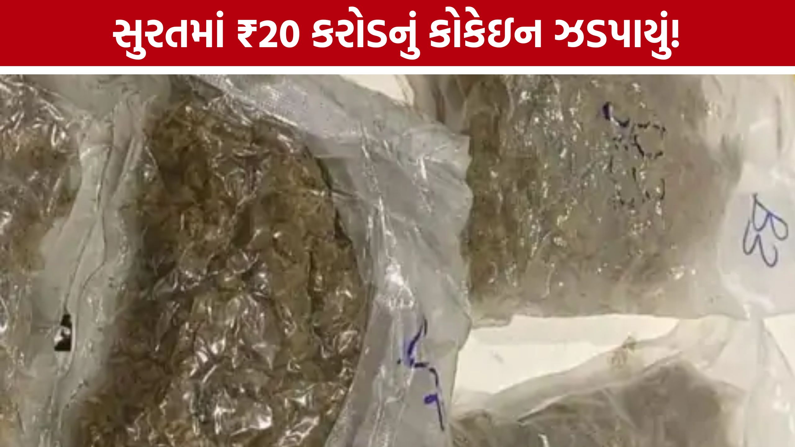 Surat DRI Raid:2 કિલો શુદ્ધ કોકેઇન સાથે એક શખ્સ ઝડપાયો