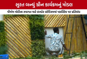 PM Modi Surat Event Eco Friendly: