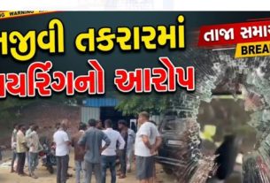 માતરના જુના સર્કિટ હાઉસ સામે આવેલા નિવૃત PSIના નિવાસસ્થાને કેટલાક શખ્સોએ આતંક (Terror) મચાવ્યો હોવાના આક્ષેપો ઉઠ્યા છે