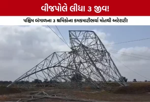 Vadodara Dabhoi Bhavpura Accident