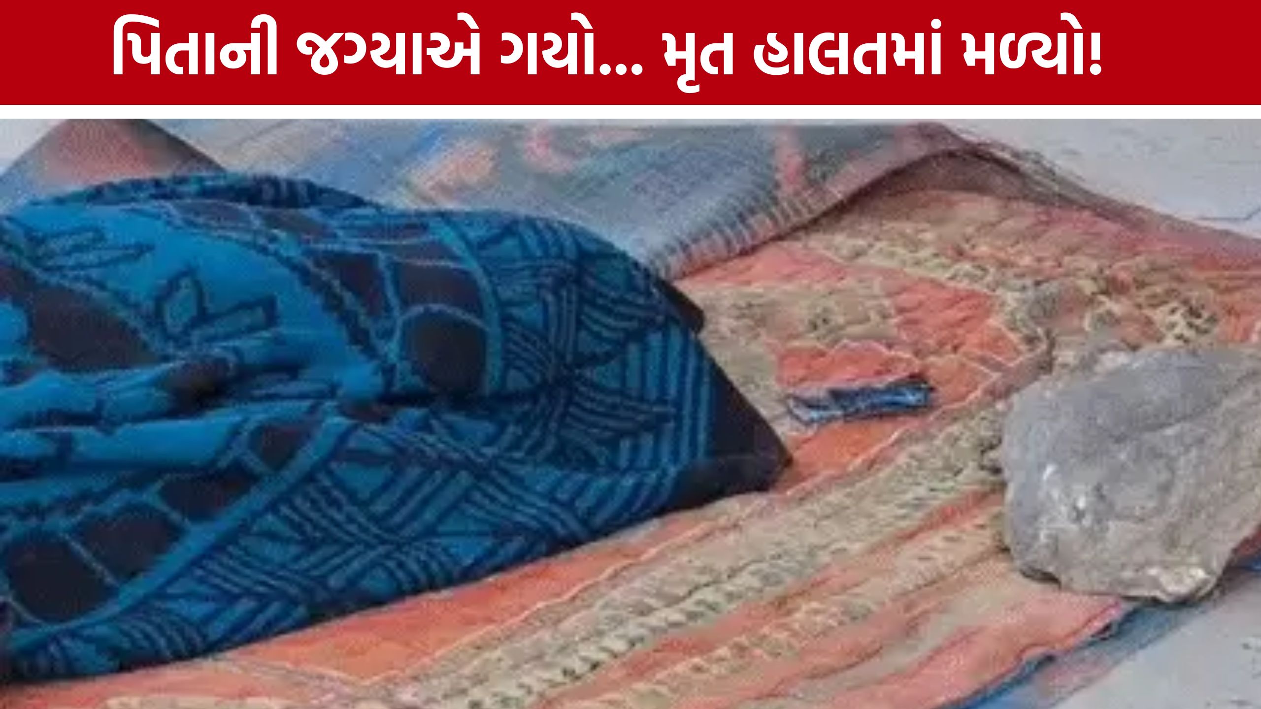 Worker Murder Case:વડોદરામાં શોરૂમ કર્મચારીની હત્યા, ઘટનાસ્થળેથી મળ્યો મોટો પથ્થર