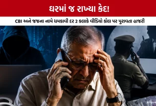 Vadodara Digital Arrest Case
