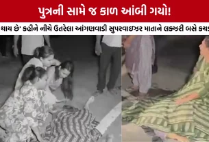 Vadodara Jambuva Bridge Hit and Run