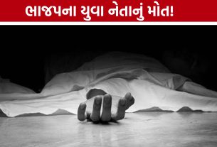 BJP Leader Death:સાવલીમાં યુવા નેતાના મોતથી રાજકીય વર્તુળોમાં શોક અને ચર્ચા