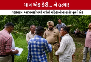 Valsad Blind Murder Case Solved