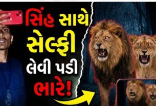 ગીરગઢડા તાલુકાના શાણાવાકિયા ગામે એક યુવાને તળાવ નજીક બેઠેલા બે સિંહો (Lion)ની ખૂબ નજીક જઈ સેલ્ફી અને વીડિયો બનાવ્યો હોવાનું સામે આવ્યું છે