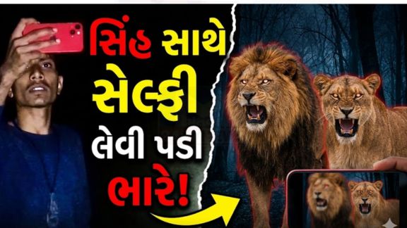 ગીરગઢડા તાલુકાના શાણાવાકિયા ગામે એક યુવાને તળાવ નજીક બેઠેલા બે સિંહો (Lion)ની ખૂબ નજીક જઈ સેલ્ફી અને વીડિયો બનાવ્યો હોવાનું સામે આવ્યું છે