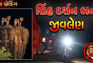 અમરેલી (Amreli) જિલ્લાના લીલીયા તાલુકાના અંટાળીયા ગામ નજીક સિંહના હુમલા (Lion Attack)માં 21 વર્ષીય યુવકનું કરુણ મોત થયું છે