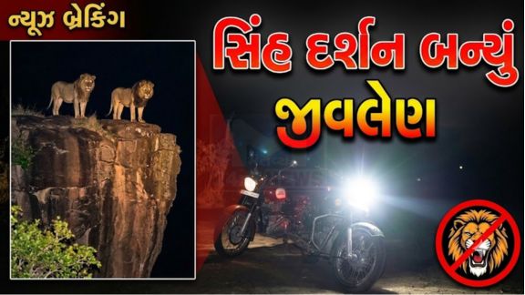 અમરેલી (Amreli) જિલ્લાના લીલીયા તાલુકાના અંટાળીયા ગામ નજીક સિંહના હુમલા (Lion Attack)માં 21 વર્ષીય યુવકનું કરુણ મોત થયું છે
