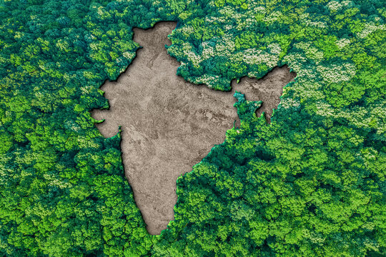 Carbon Emission Reduction: ગુજરાતની મોટી સિદ્ધિ