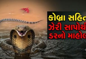 દક્ષિણ ચીનમાં ભારે વરસાદ અને પૂર (China Flood)ના કારણે સર્જાયેલા વિનાશ વચ્ચે એક એવી ઘટના સામે આવી છે