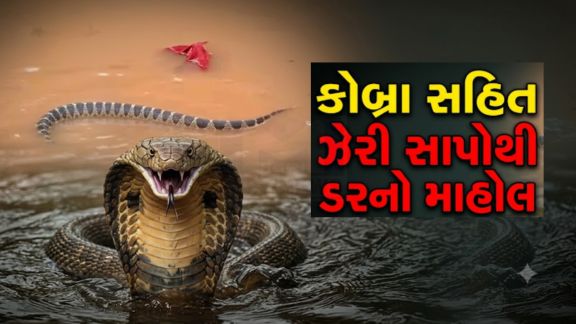 દક્ષિણ ચીનમાં ભારે વરસાદ અને પૂર (China Flood)ના કારણે સર્જાયેલા વિનાશ વચ્ચે એક એવી ઘટના સામે આવી છે