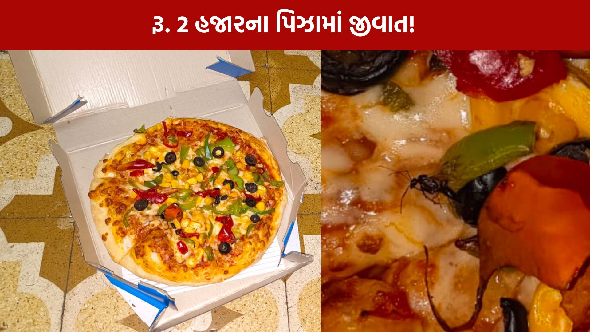 vadodara