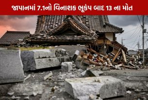 Japan Earthquake: