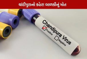 Chandipura virus