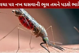 Mosquito