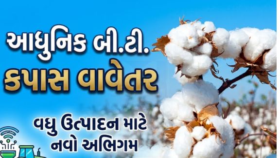 વર્ષ 2026-27 દરમિયાન અમદાવાદ જિલ્લામાં કપાસ ક્રાંતિ યોજના (Cotton Kranti Yojana) હેઠળ કુલ 2,285 હેક્ટર વિસ્તારનો ભૌતિક લક્ષ્યાંક નક્કી કરવામાં આવ્યો છે