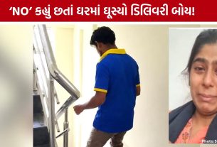 Bengaluru Delivery Boy Case: મહિલા સાથે શરમજનક હરકતનો આરોપ
