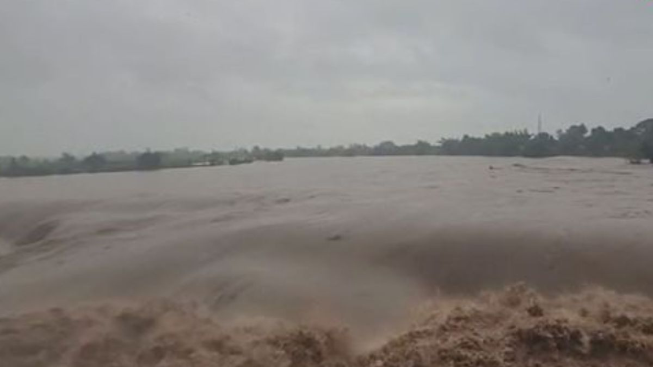 Calamity from the skies in Junagadh district