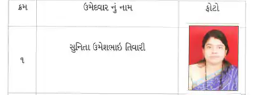 ગત મનપા ચૂંટણીમાં ભાજપે જાહેર કરેલી ઉમેદવારોની BJP Councillors યાદી