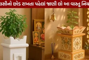 Disadvantages of keeping a Tulsi plant in the south direction or in the bedroom.