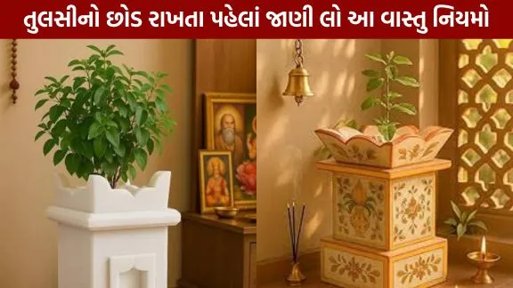 Disadvantages of keeping a Tulsi plant in the south direction or in the bedroom.