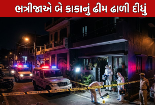 Double Murder Case: ભત્રીજાએ બે કાકાનું ઢીમ ઢાળી દીધું