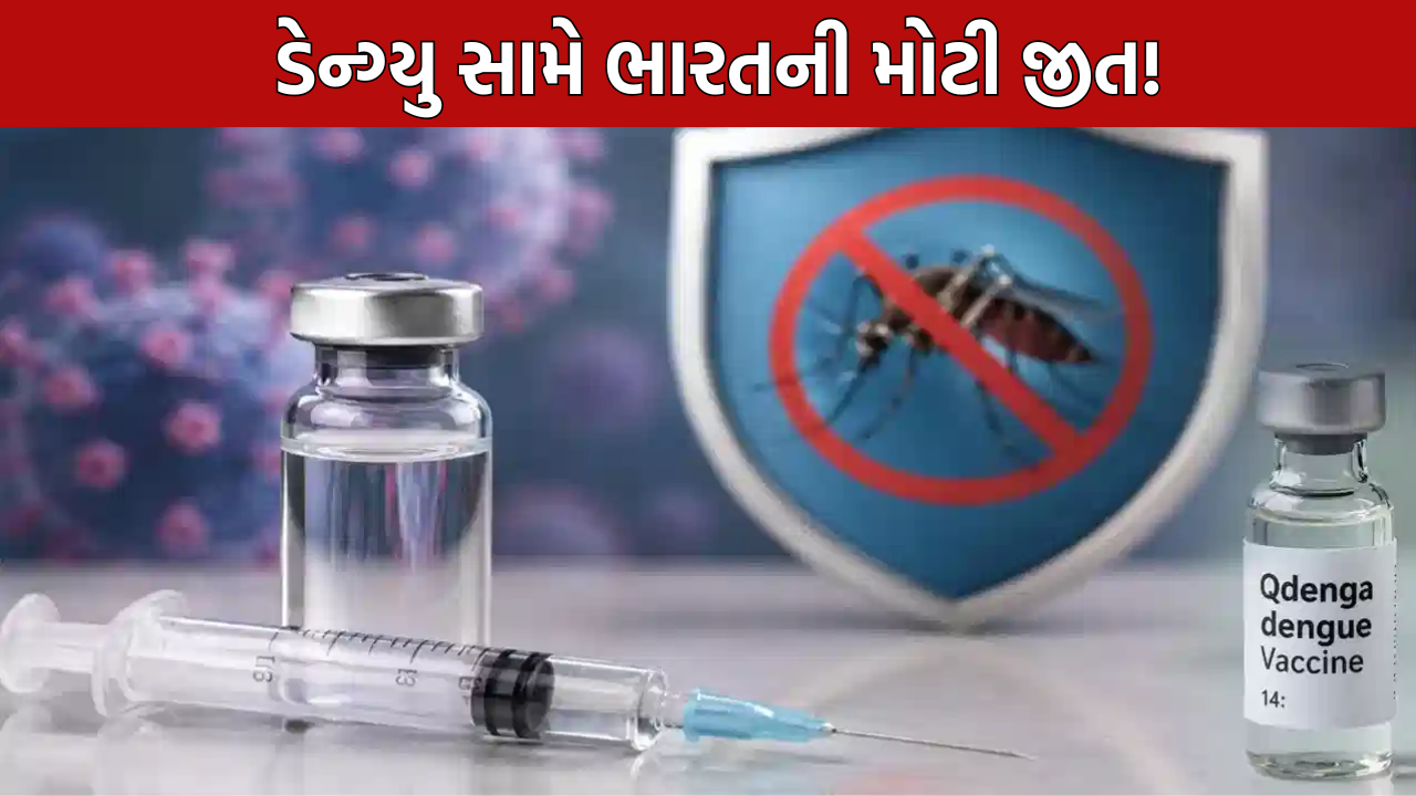 QDENGA Dengue Vaccine India: હવે ડેન્ગ્યુથી મળશે રક્ષણ