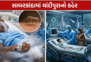 Sabarkantha Chandipura Virus: 3 પોઝિટિવ, 5 બાળકોનાં મોત
