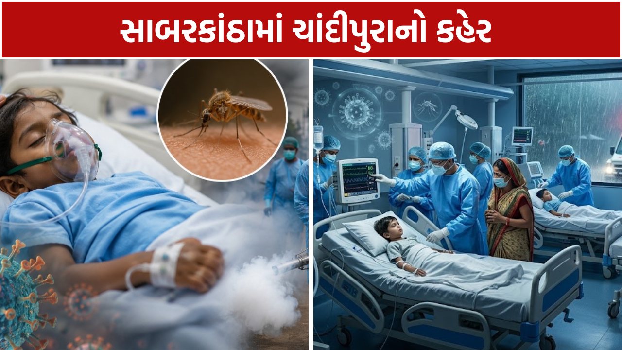 Sabarkantha Chandipura Virus: 3 પોઝિટિવ, 5 બાળકોનાં મોત