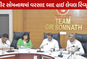 Gir Somnath Rain Review: હાઈ લેવલ રિવ્યૂ