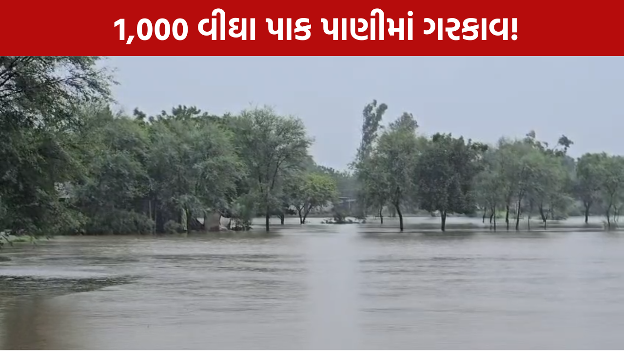 Farmer Loss: 200 ખેડૂતોને મોટું નુકસાન