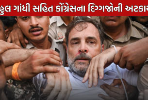 Congress Parliament Protest: રાહુલ ગાંધીની અટકાયત