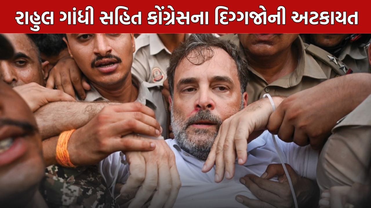 Congress Parliament Protest: રાહુલ ગાંધીની અટકાયત