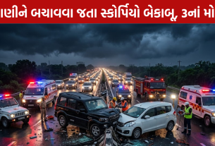 Hapur Road Accident: 3નાં મોત અને 7 ઘાયલ