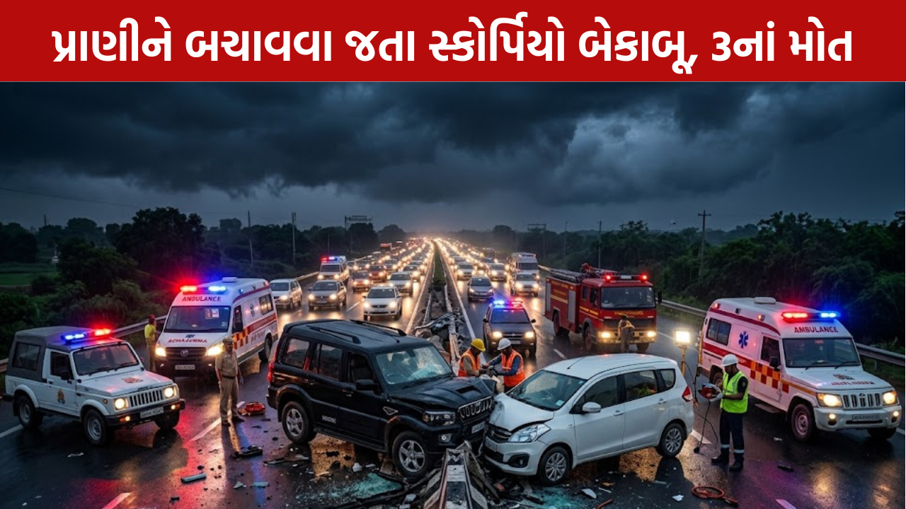 Hapur Road Accident: 3નાં મોત અને 7 ઘાયલ