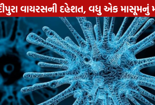 Chandipura Virus: બાળકનું મોત, મૃત્યુઆંક 5 થયો