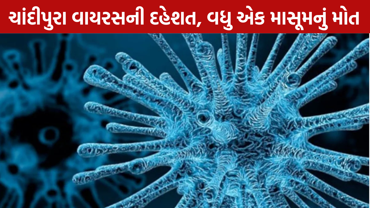 Chandipura Virus: બાળકનું મોત, મૃત્યુઆંક 5 થયો