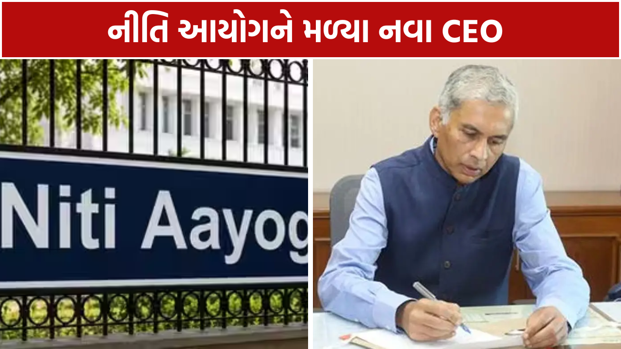Anurag Jain NITI Aayog CEO: નીતિ આયોગમાં નવા CEO